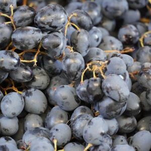 black grapes